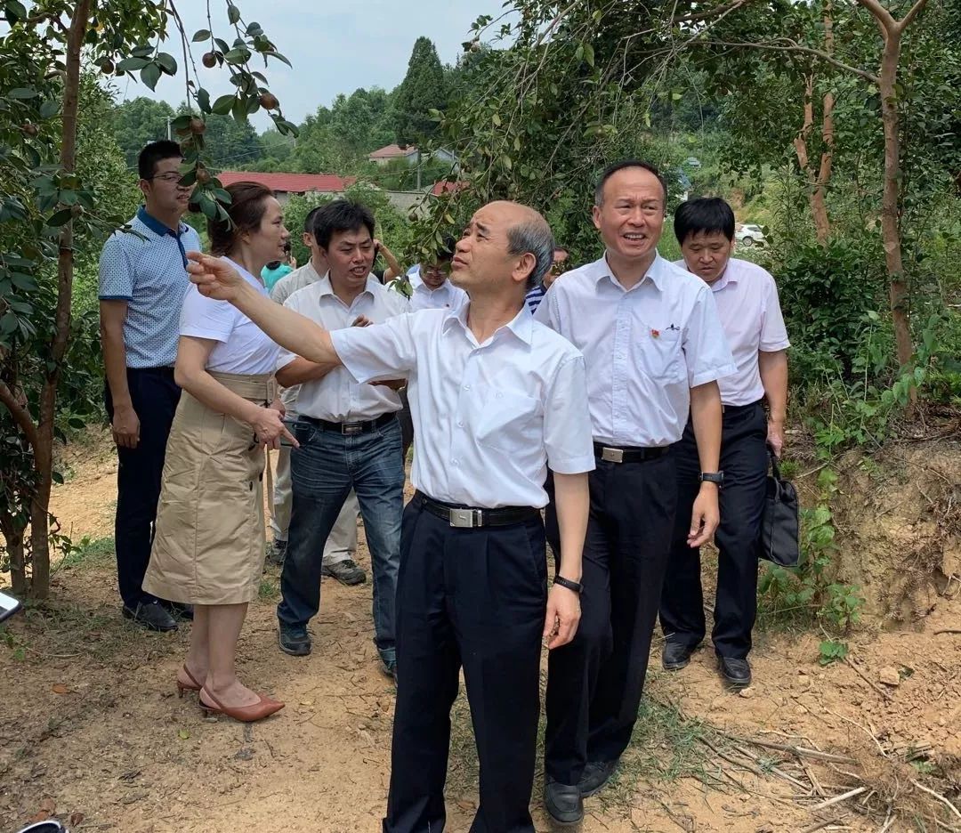 傅连春一行还对罗田县骆驼坳镇胡家冲村进行了实地调研,参观了胡家冲
