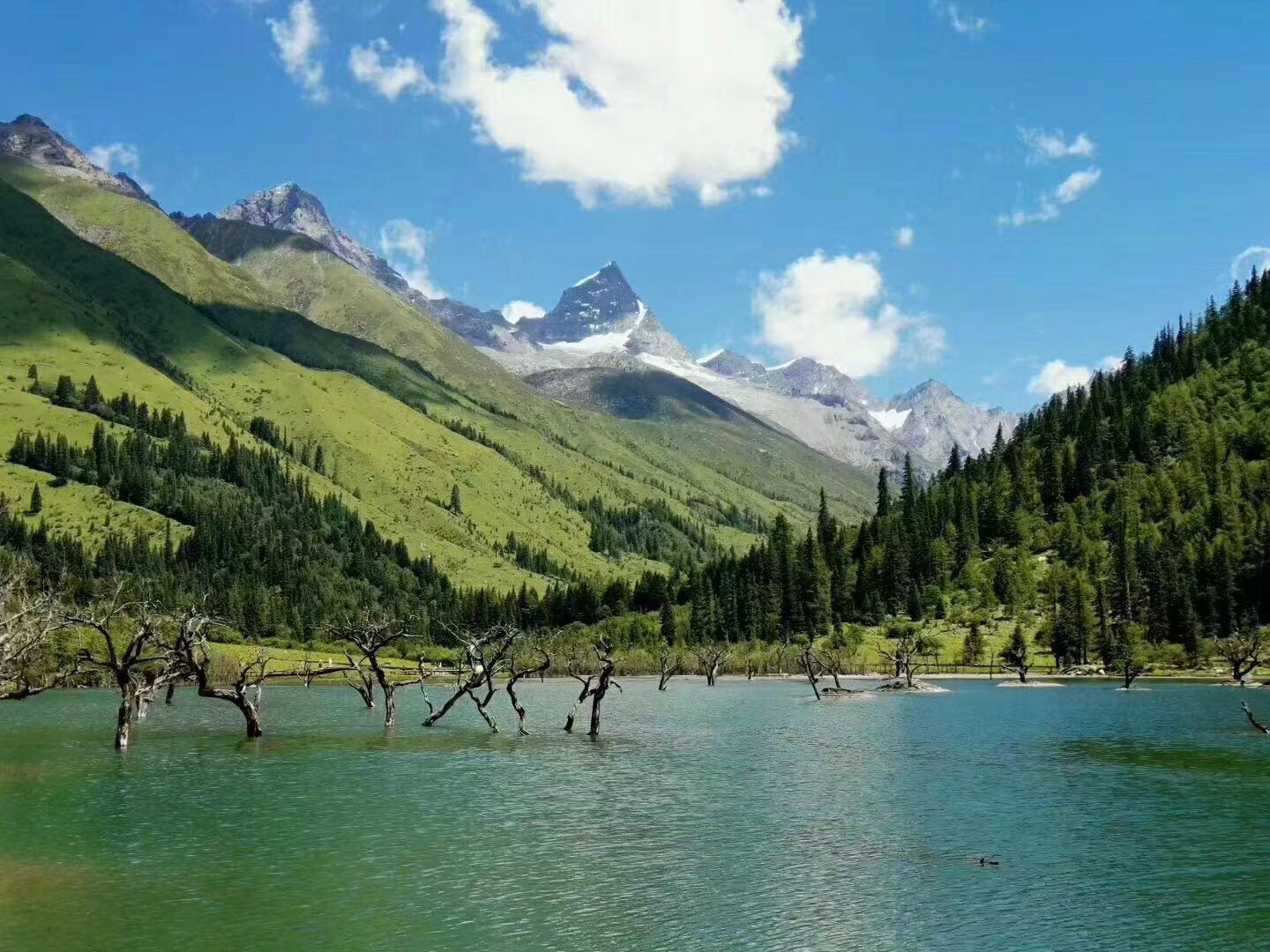 四姑娘山——夏季避暑之地