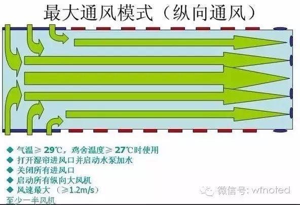秋季鸡舍如何控制通风减少家禽病毒病