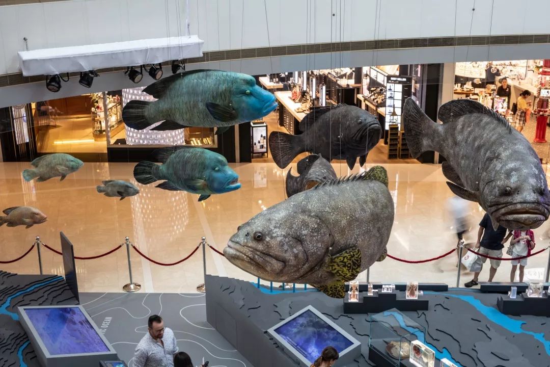 香港ifc商场化身奇妙海洋展出20米长深海巨无霸