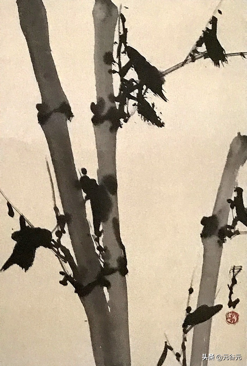 任预、齐良芷、赵少昂、陈寿岳、王瑶卿、林岑国画花鸟搜狐大视野搜狐新闻