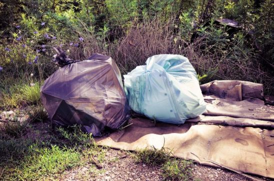 在一个人迹罕至的养蛇场,一名拾荒者在树丛里发现一个塑料袋子,里面露
