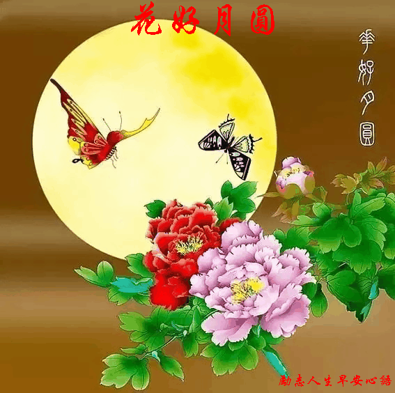 七月十五花好月圆祝大家吉祥如意合家安康