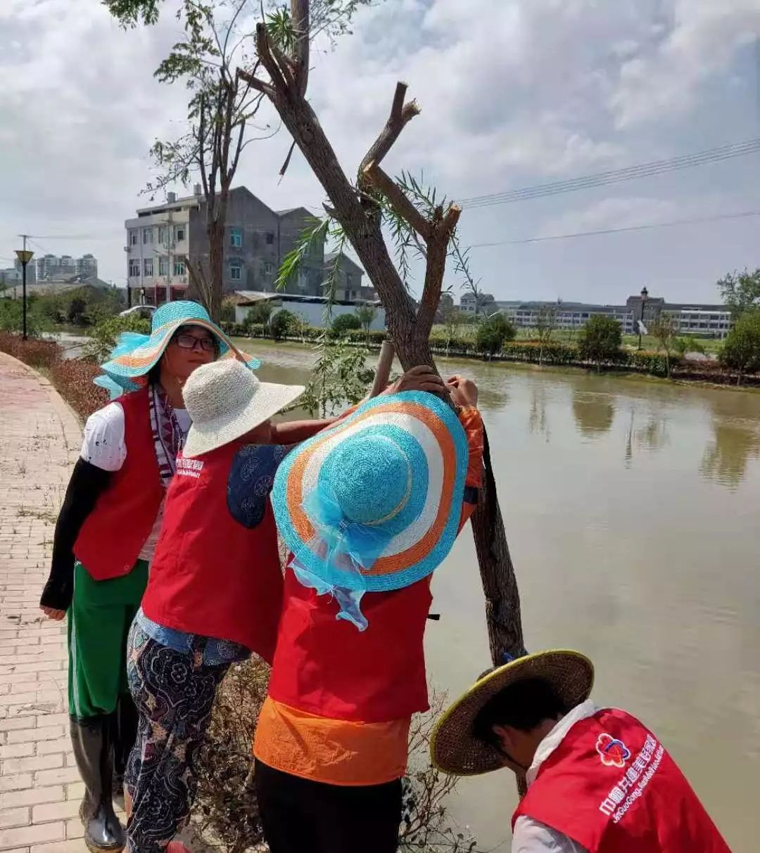 华晟村联树村楼下张村三衙桥村上塔村双峰村腾蛟村天皇村文昌社区西岸