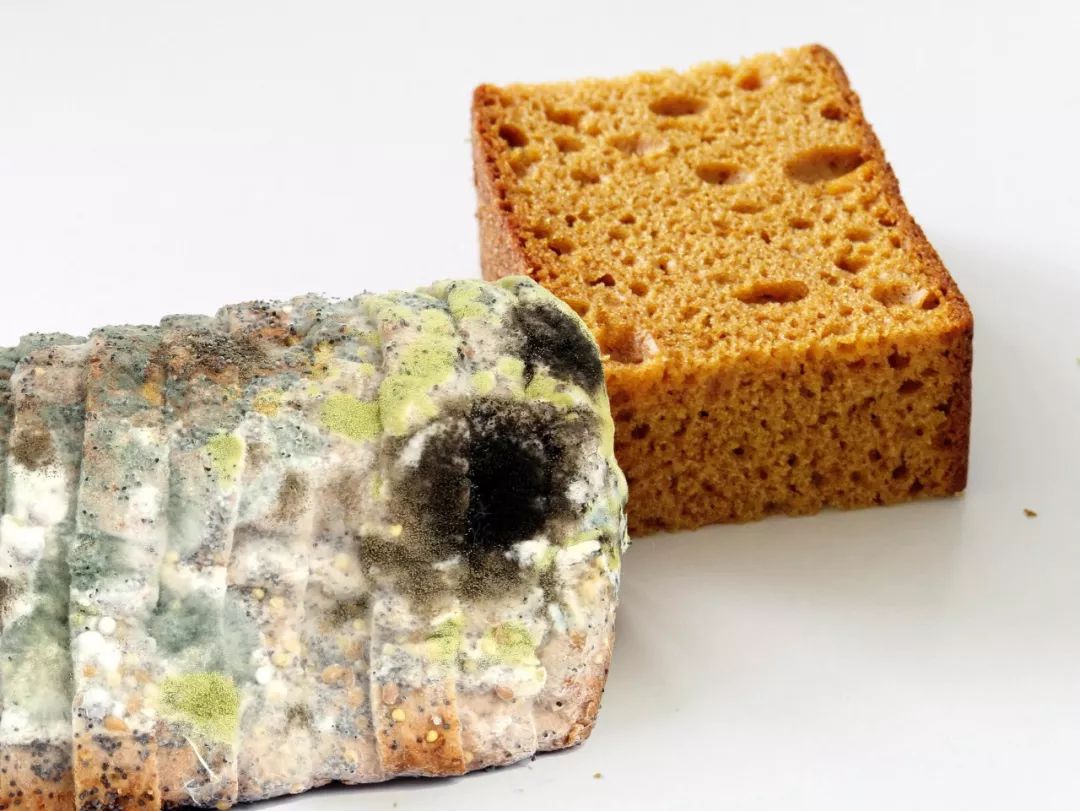 【健康资讯】去掉食物发霉的部分,剩下的吃掉了,是节约?_黄曲霉