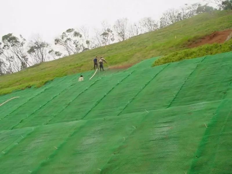 植物固坡工程图片图片