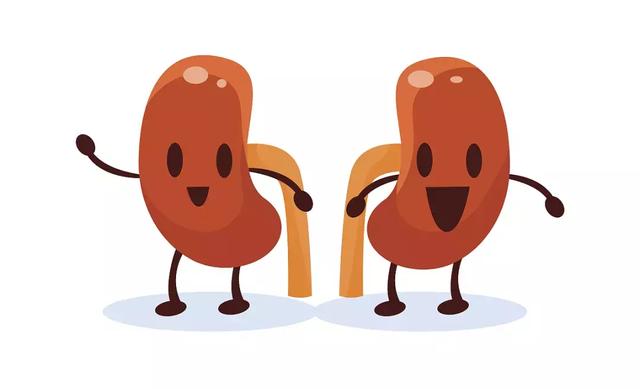 人人享有肾健康这项公益救助计划可能与你有关