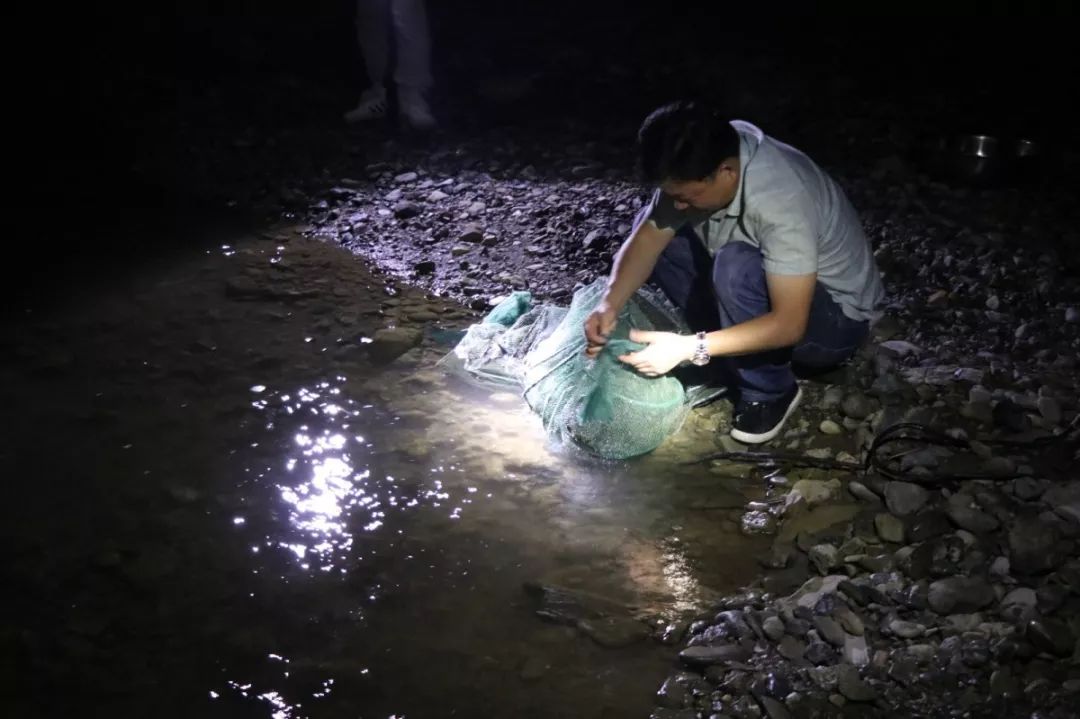 夜间巡河联动执法五峰湾潭对非法捕鱼说不