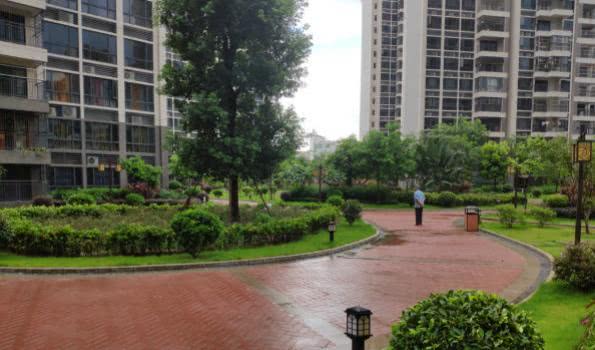 市民提问:兴宁市联康雅筑为何9栋的不动产证还没有下来?