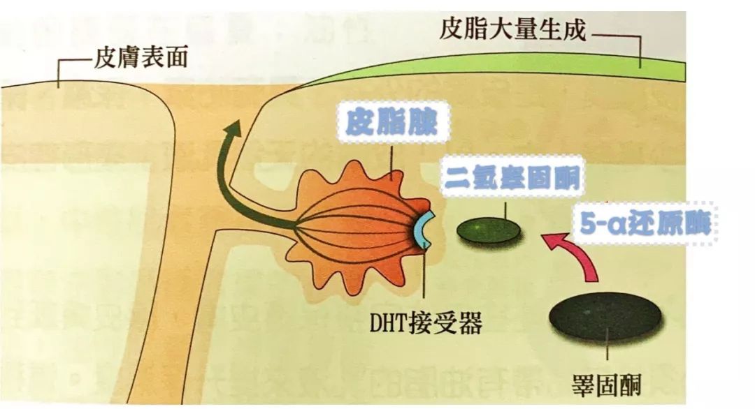 要你好看no105白当那么多年反光板现在才知道为什么我脸油