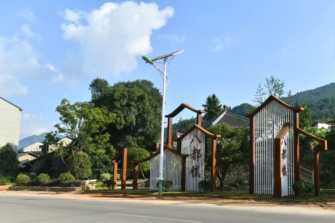 8个样板19个达标龙泉小城镇环境综合整治喜获满堂红