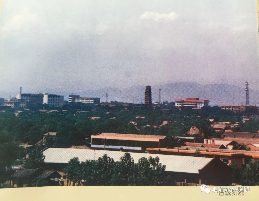 80年代的蒲城县图片图片