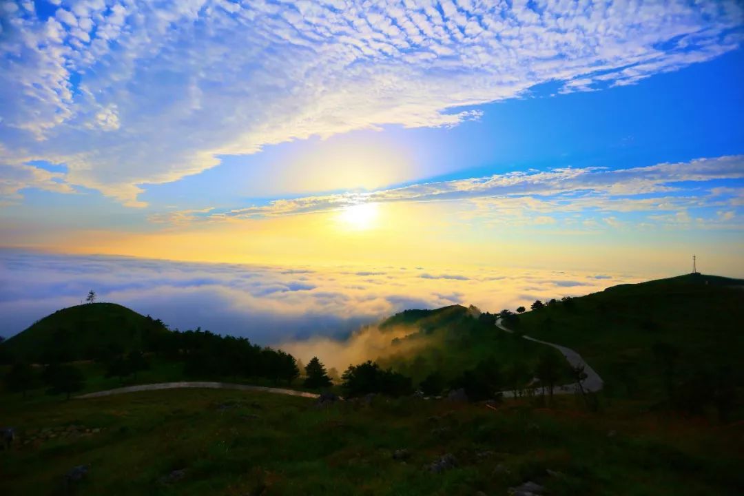 圖/百里荒高山草原旅遊區 地址:湖北省宜昌市夷陵區分鄉鎮百里荒 諮詢