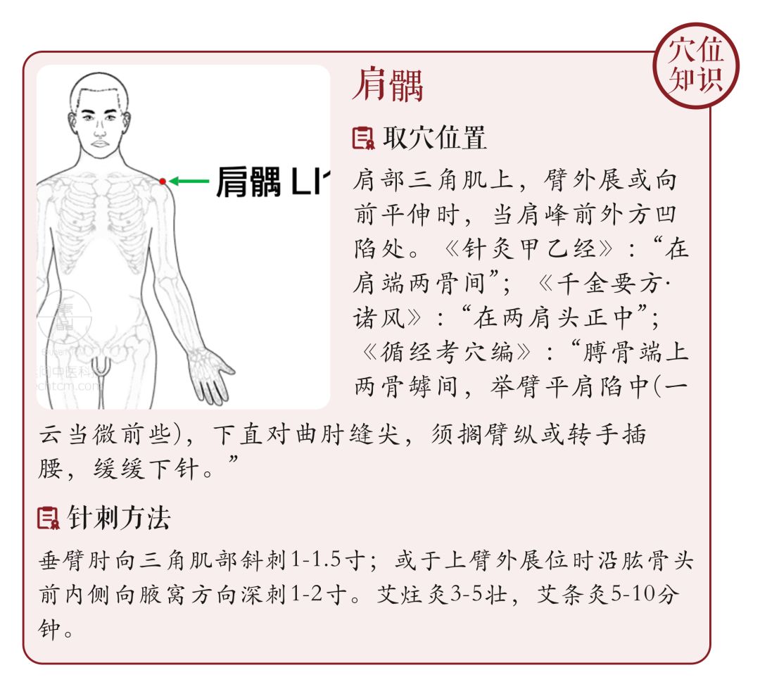 肩髃怎么读图片