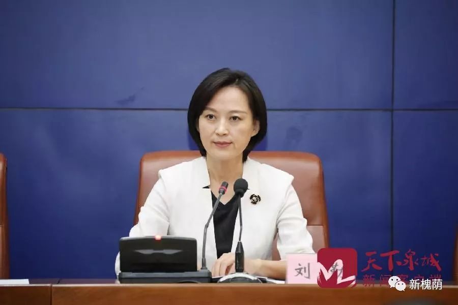 把"规划图"变"施工图" 济南槐荫开启建设新局面_槐荫区