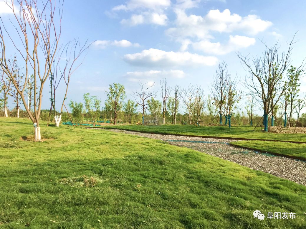 城南再添一条人工湖还有绿地紫花小道走廊