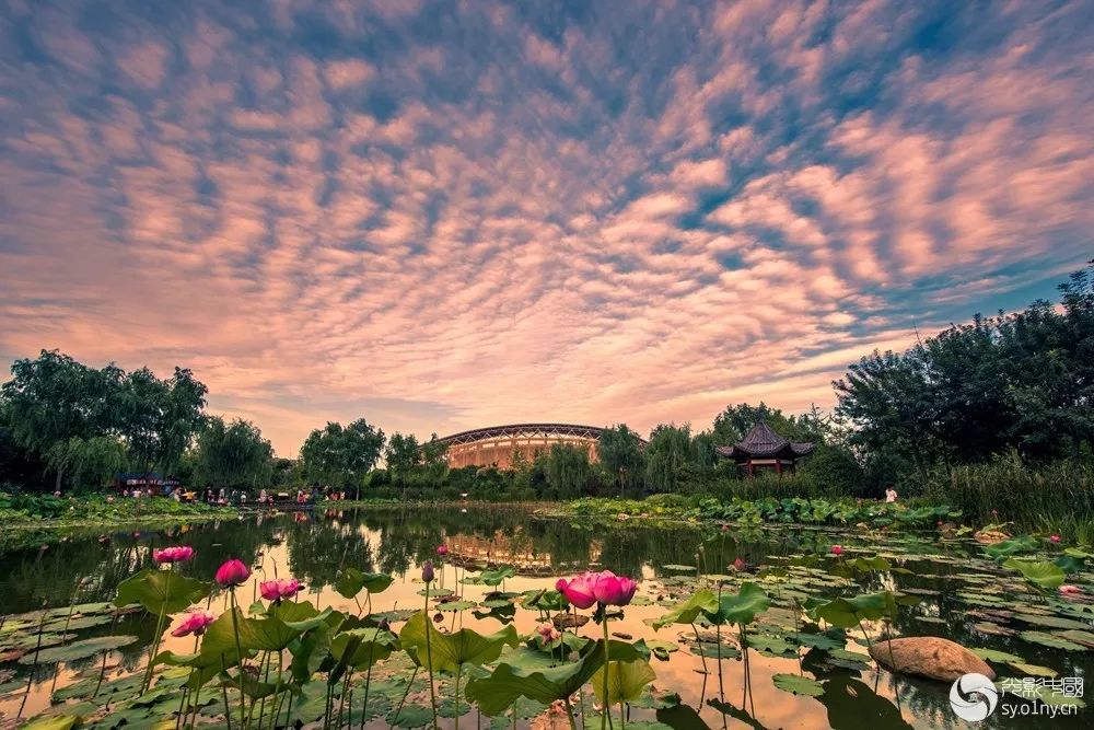 南阳十三个县市区美景,震撼来袭!