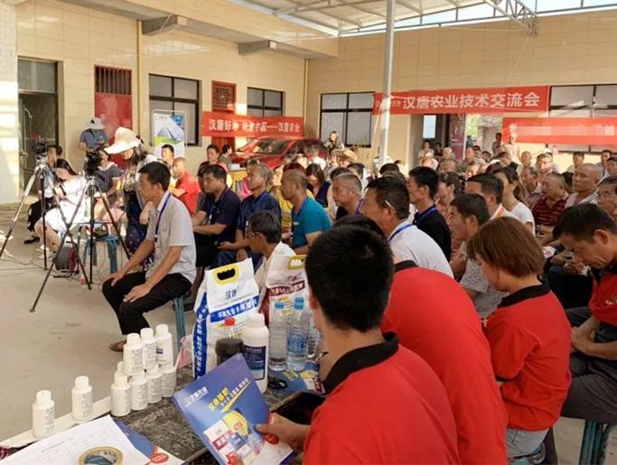 天天农高会农户得实惠汉唐农业农林卫视天天农高会大荔站现场花絮