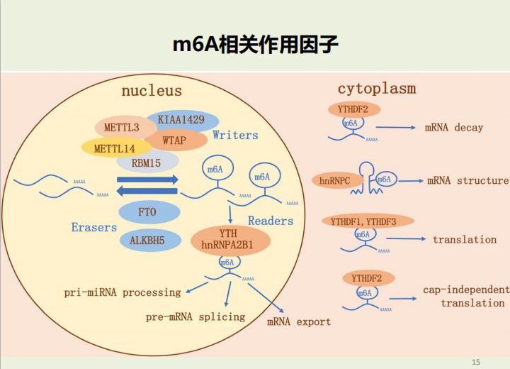 1,概述及關鍵技術說明課程內容2,dna甲基化通常表現為抑制基因的表達