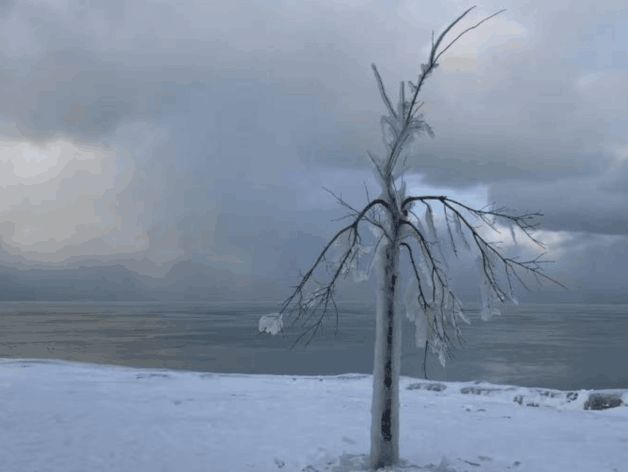 读他的文字——在夏天吹彻寒风,在城市远望村庄