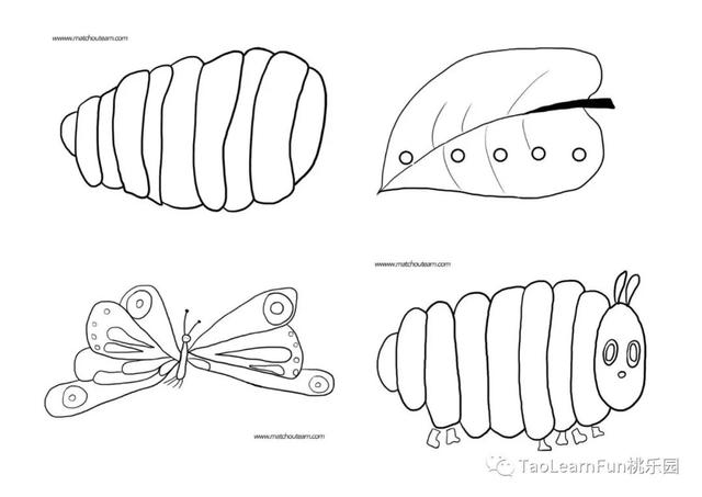英语启蒙绘本拓展 | the very hungry caterpillar
