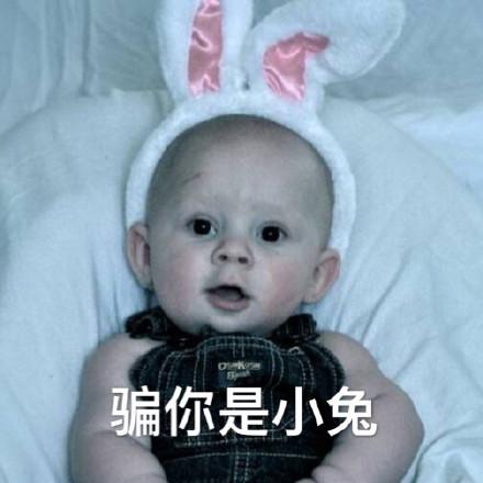 骗你是小狗表情包合集