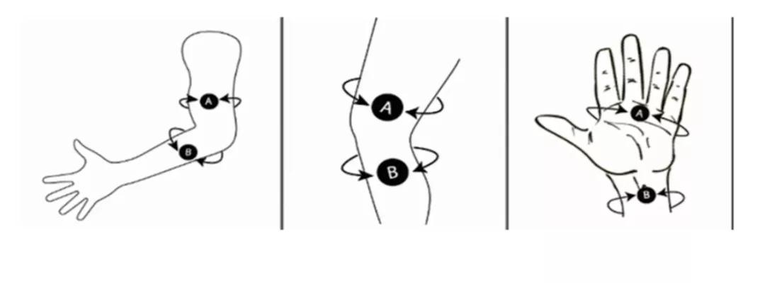 手臂测量临近肘关节的大臂及小臂围度,腿部测量临近膝关节大腿及小腿