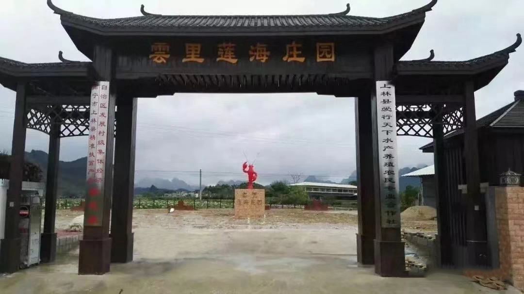 庄园的荷花已经盛开啦~"接天莲叶无穷碧,映日荷花别样红"你还不快了解