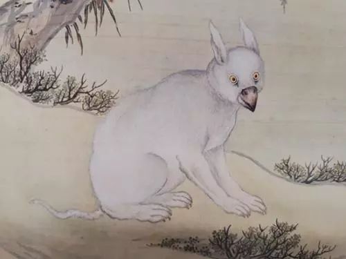 这种长着兔子耳朵和鸟嘴的怪物在《清宫兽谱》里叫做"犰狳".