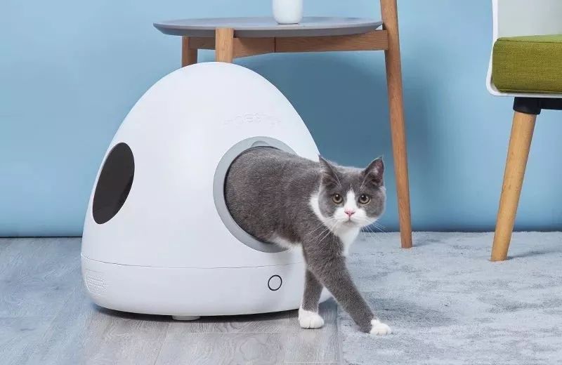 专为喵主子打造的科幻太空舱不仅冬暖夏凉还能实时监控健康状况