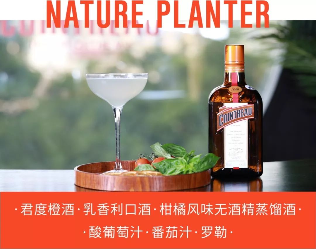 女王降临2019君度女王调酒师大赛决赛选手现已揭晓