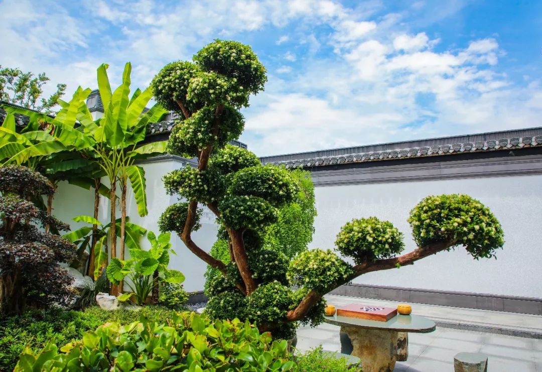 中式元素正是中式庭院的灵魂小桥流水,亭台楼阁保留了中国国粹的同时