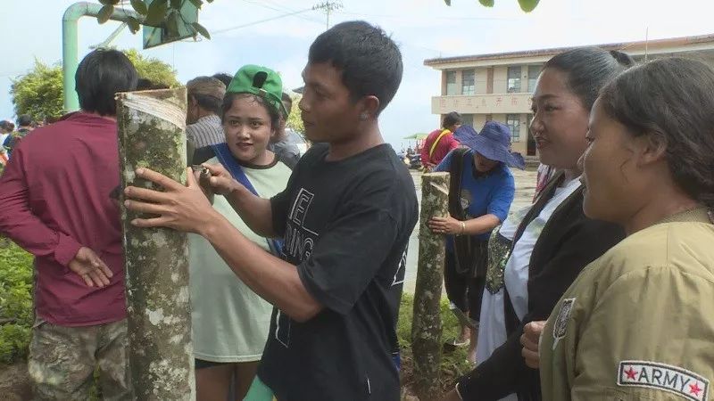 目前,班哲村种植橡胶达1736亩