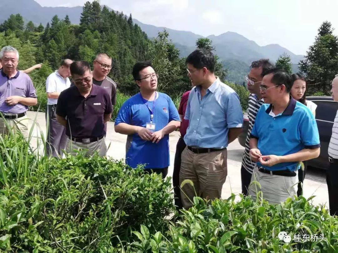 郴州市人大常委会副主任高爱国等桥头调研指导