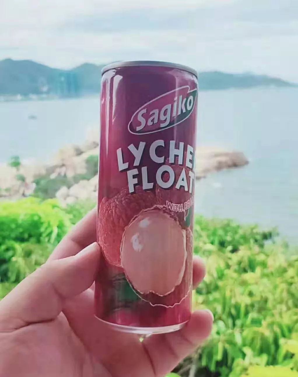 美奈果汁丨美到无可奈何