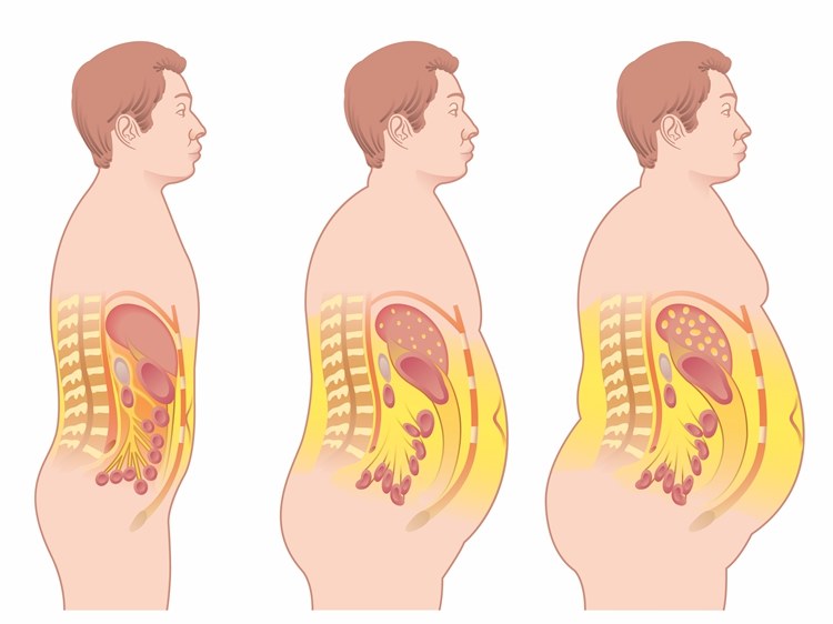 韩洋|中年男性都要渡一次“发胖”的劫