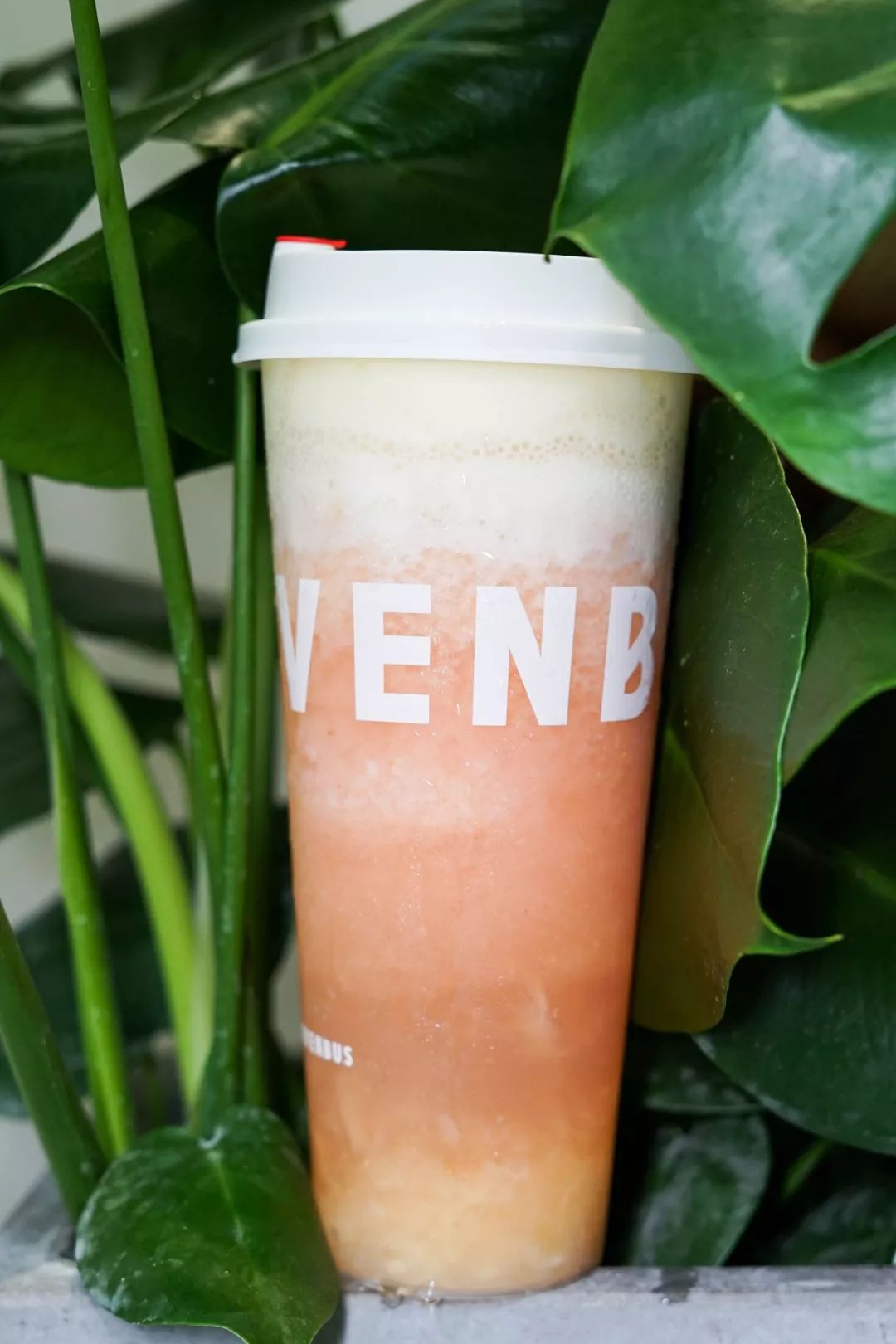 济南首家「豆乳奶茶」首创者sevenbus发车啦~又要排长长长队了