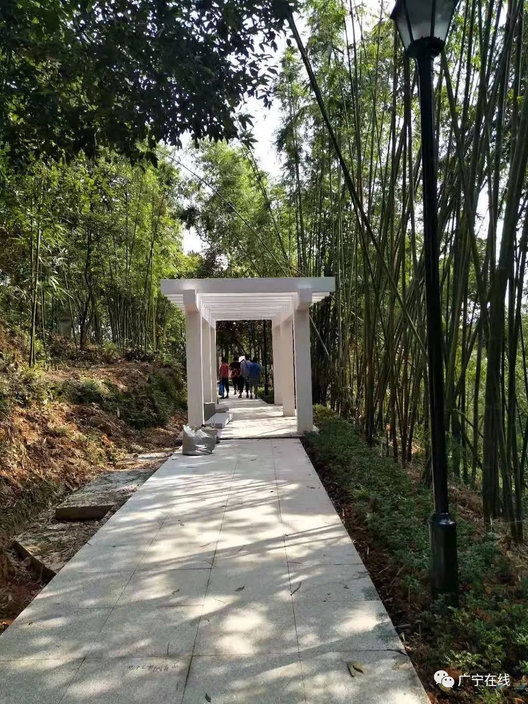 广宁万竹园扮靓后重新开放
