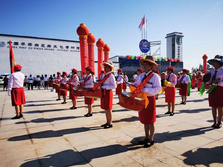 據悉,藍天芝麻小鎮位於平輿縣東皇街道辦事處大王寨村,毗鄰縣城規劃區