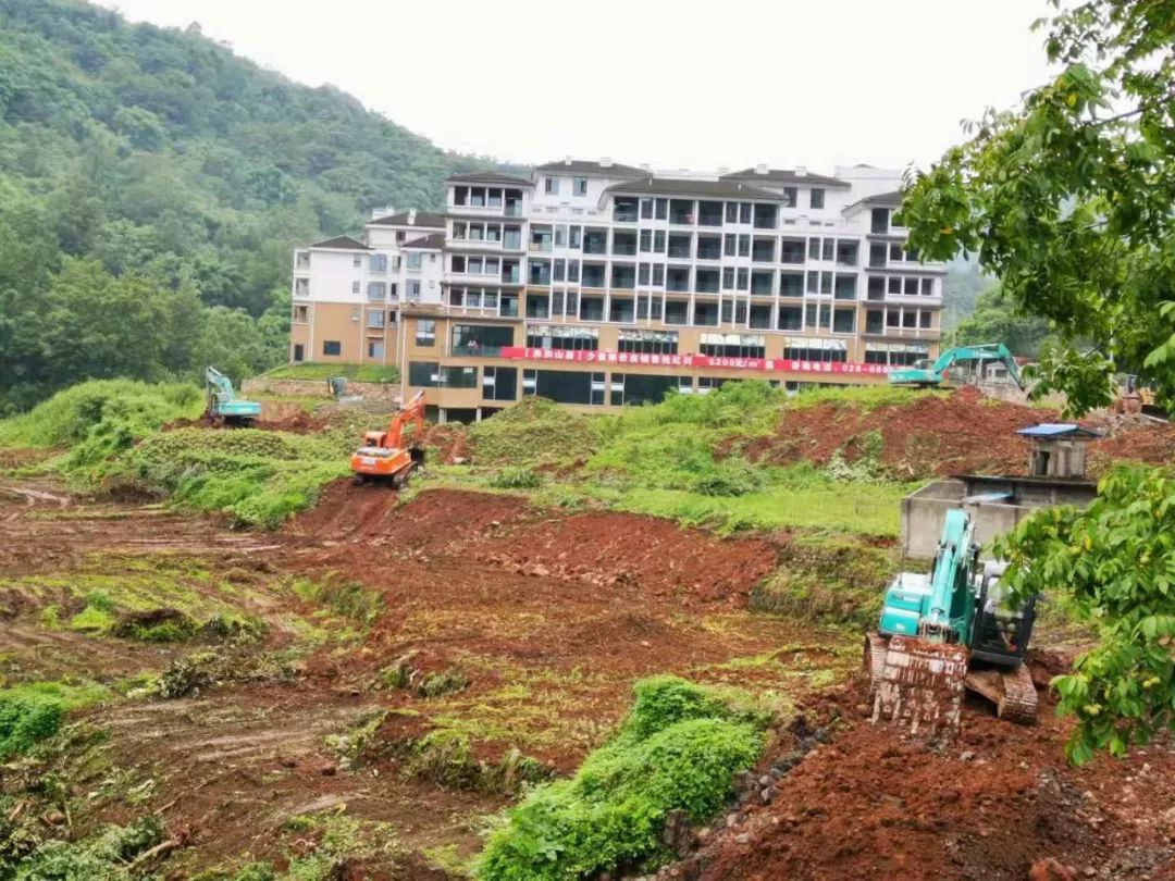 携手不忘初心共创鹤鸣未来