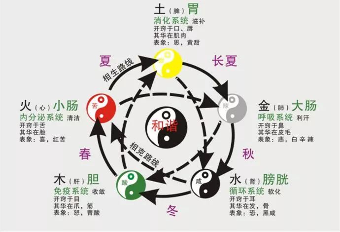 入门中医必读,一文读懂五行学说!