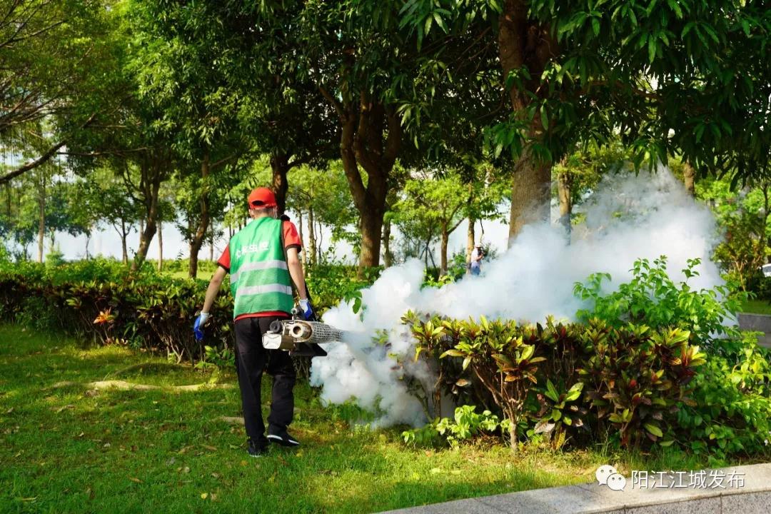 江城区:消灭蚊虫孳生地 全力防控登革热|江城区开展除"四害"消杀行动