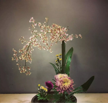 马克花艺插花艺术风格解析美在眼里静在心里