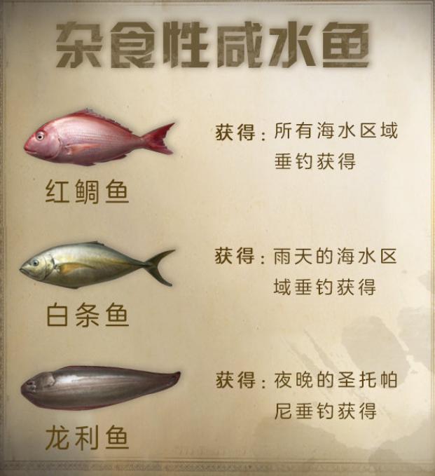 明日之後金槍魚稀有程度堪比龍蝦龍利魚只在晚上出現