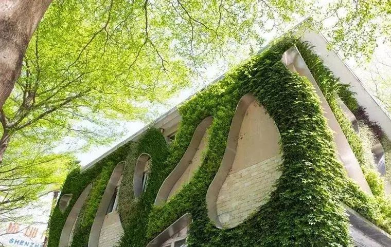 垂直绿化让幼儿园美出新高度!还不赶快get起来?|创意分享