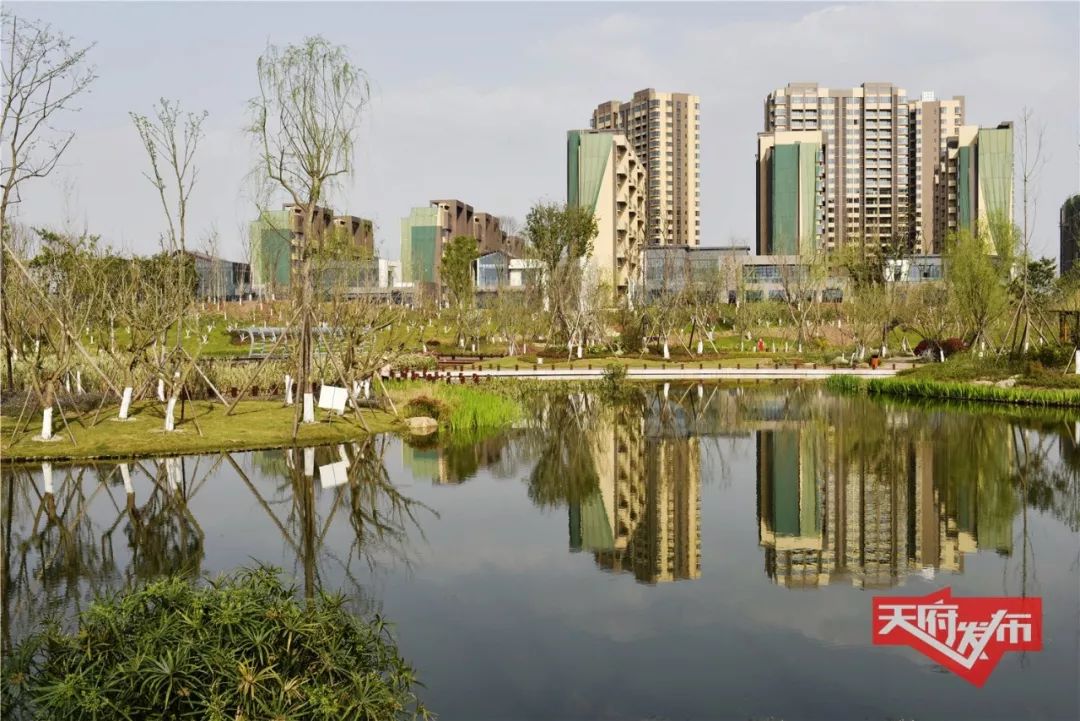 打赢三大攻坚战新区2019下半年准备这样做