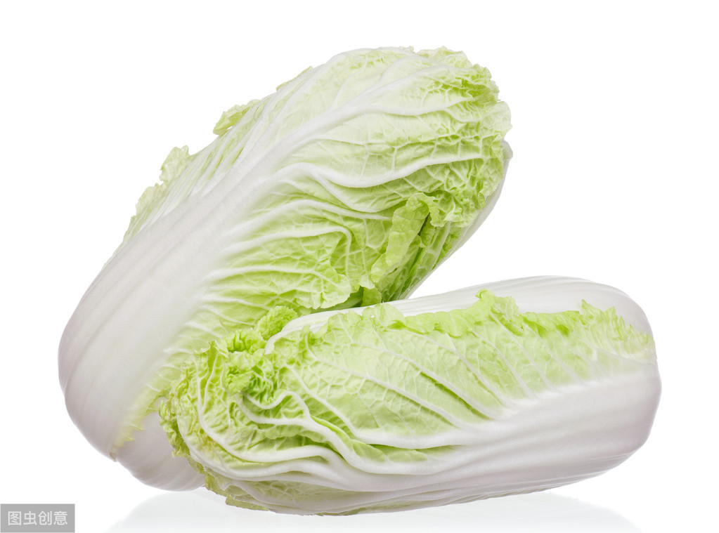 中医农业万里行北方白菜种植攻略好白菜猪拱不坏哈哈哈