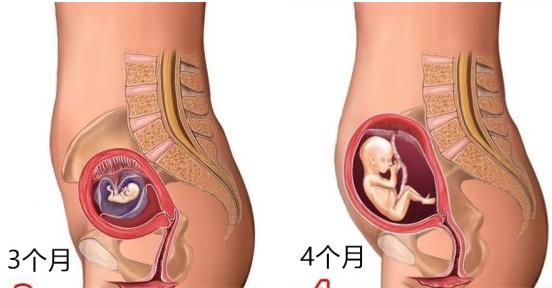 如何长出胎毛 459dfa9d1d6e4e08b61165d1d382db09.jpeg