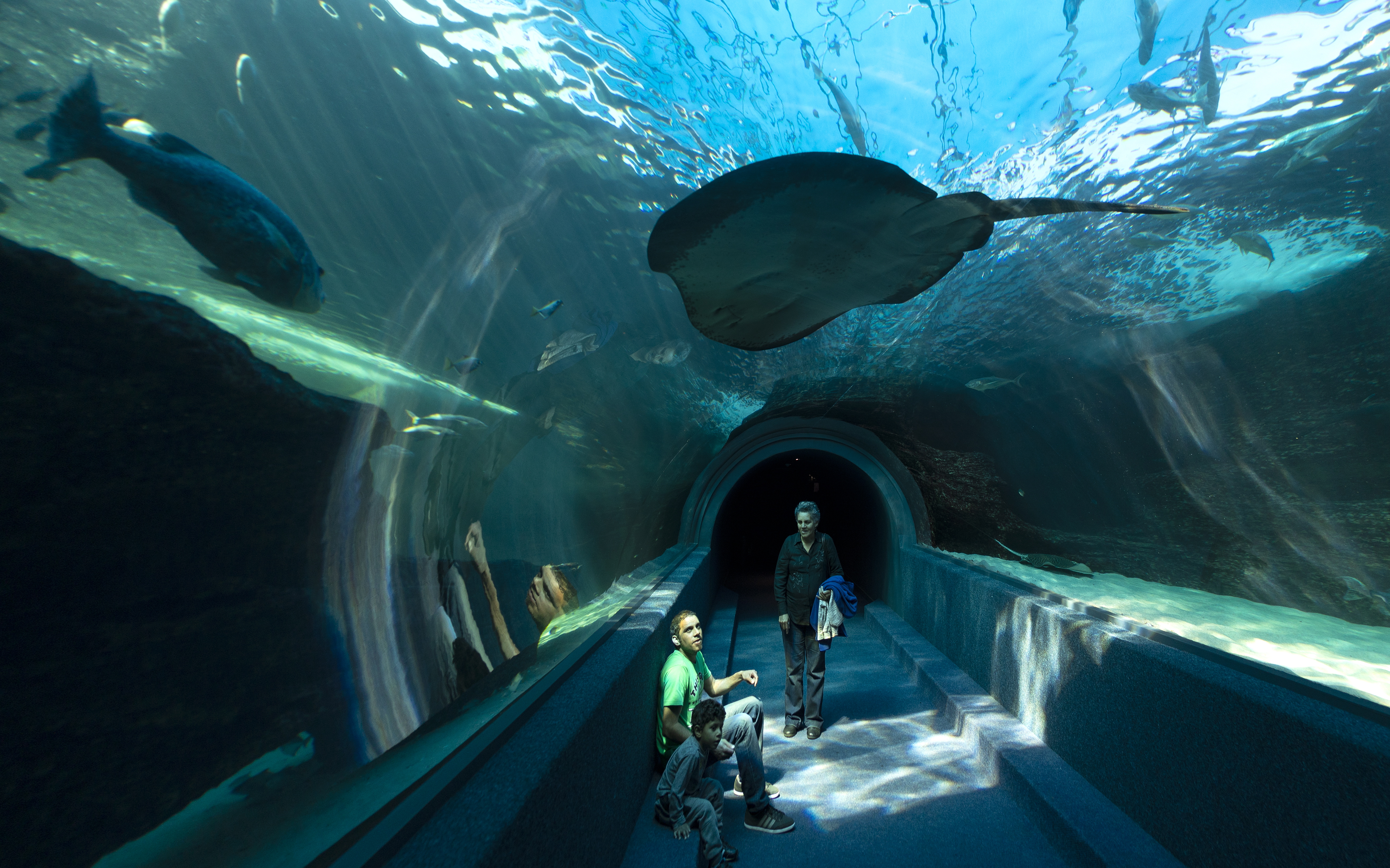 水族馆壁纸图片