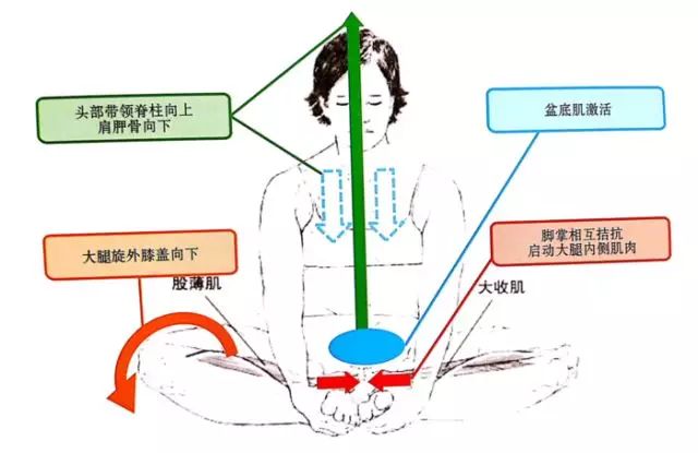 束角式约束意味着更大的自由